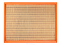 Ryco A1755 Air Filter
