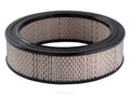 Ryco A31 Air Filter