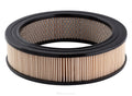 Ryco A320 Air Filter