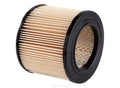 Ryco A89 Air Filter