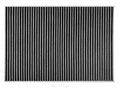 Ryco RCA176C Cabin Air Filter